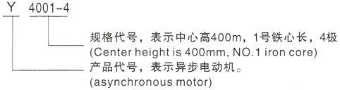 西安泰富西玛Y系列(H355-1000)高压YJTG-112M-4A/4KW三相异步电机型号说明