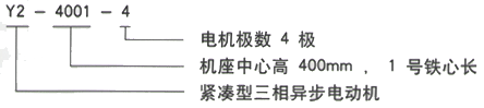 YR系列(H355-1000)高压YJTG-112M-4A/4KW三相异步电机西安西玛电机型号说明